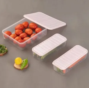 Multi-Purpose Food Storage Container with Removable Drain Plate and Lid, Stack-able Freezer Storage Containers to Keep Fresh for Vegetables, Fruits, Transparent